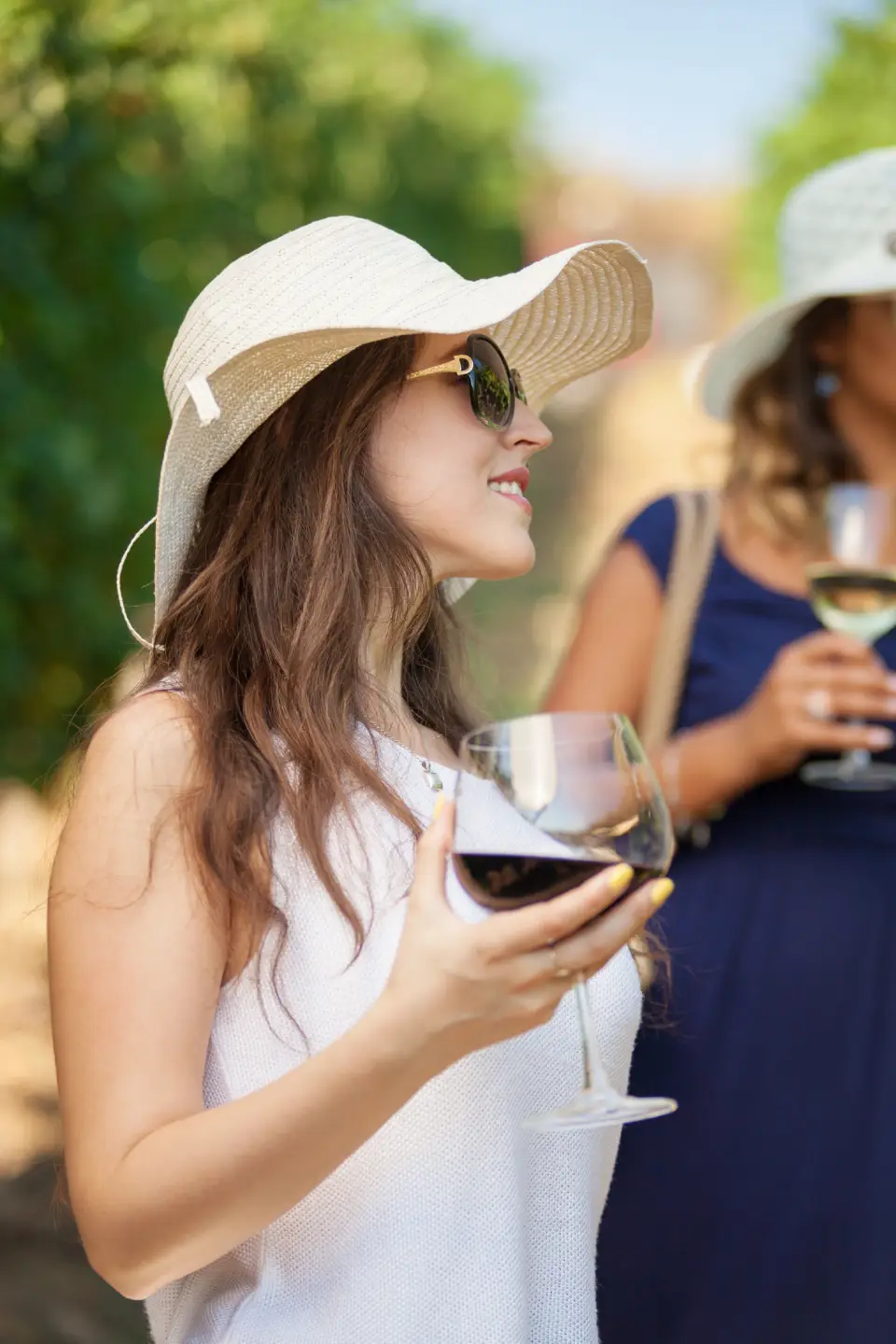 Indulge in Class with Wine Tours Limo Service San Diego