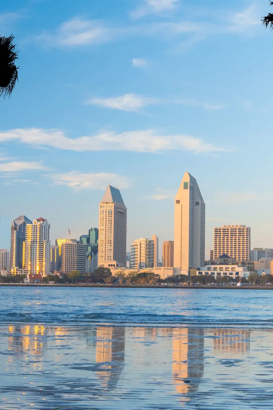 Professional Drivers for San Diego City Tour Car Service