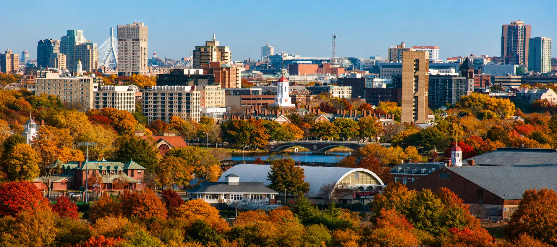 Luxury limo service in Burlington MA