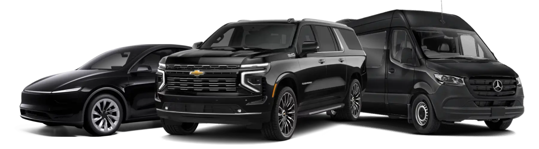 Professional scottsdale chauffeur service