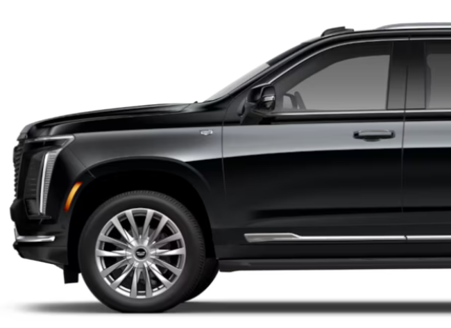 los angeles limo fleet - Vehicle Options